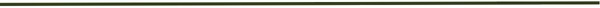 newsletter divider 7 newsletter divider 7
